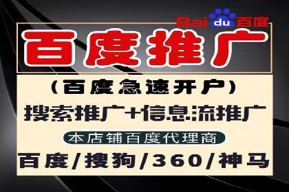 谷歌竞价实战：广告预算分配与效果评估